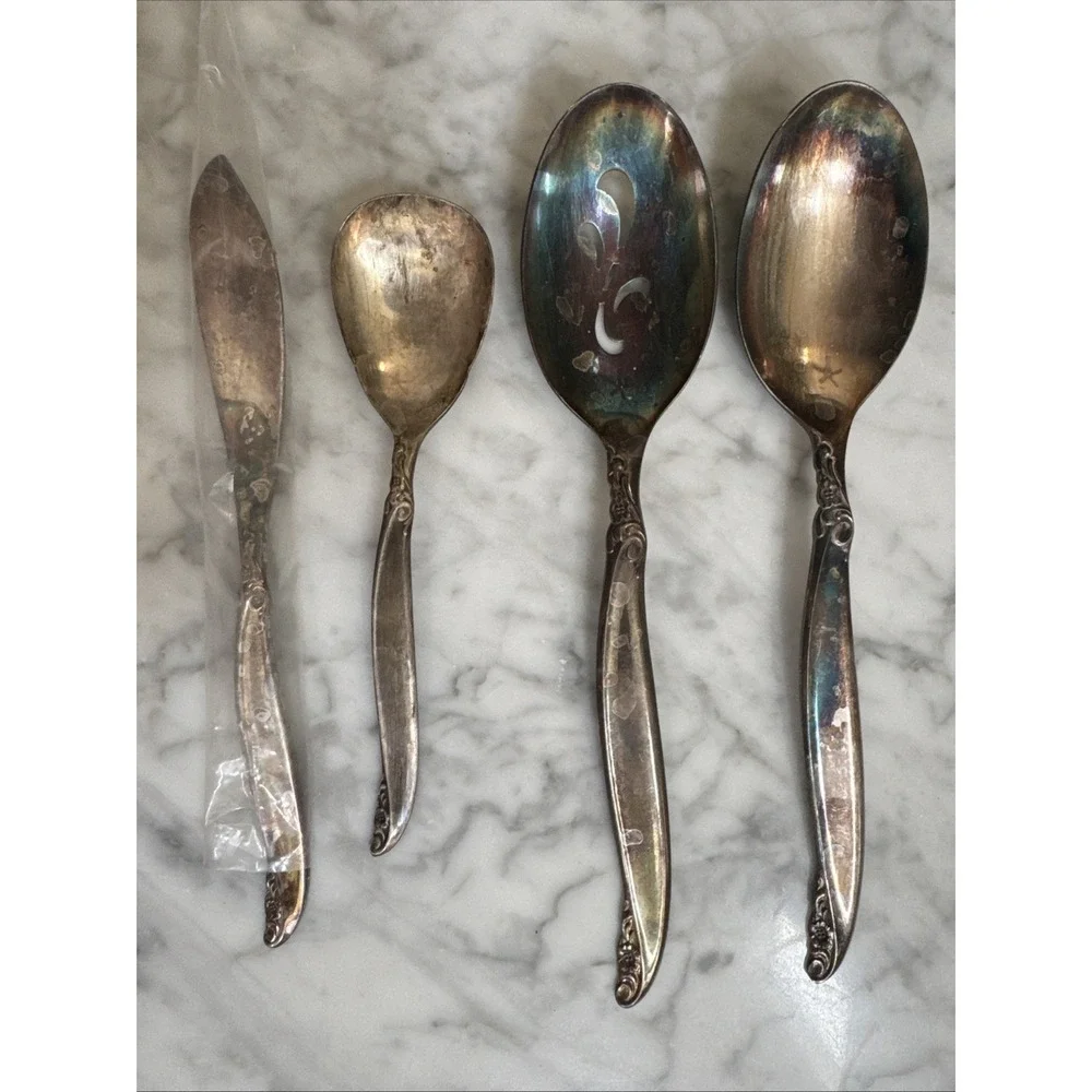 1847 Rogers Bros Vintage 1961 Silver Plate Leilani 43 Pc Flatware Set For 8 Read